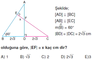 Dik Ucgen_Cozumlu_Test_II_013