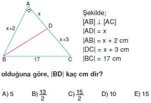 Dik Ucgen_Cozumlu_Test_I_009