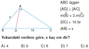 Dik Ucgen_Konu_Testi_III_009