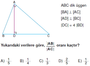 Dik Ucgen_Konu_Testi_III_012