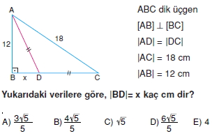 Dik Ucgen_Konu_Testi_III_015