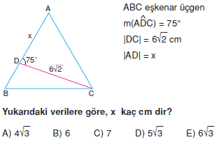 Dik Ucgen_Konu_Testi_IX_016