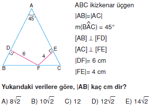 Dik Ucgen_Konu_Testi_VIII_001