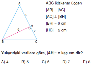 Dik Ucgen_Konu_Testi_VIII_002