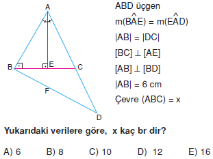 Dik Ucgen_Konu_Testi_VIII_006