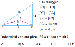 Dik Ucgen_Konu_Testi_VIII_007