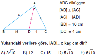 Dik Ucgen_Konu_Testi_VIII_013