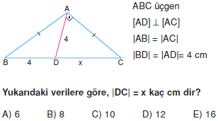 Dik Ucgen_Konu_Testi_VIII_014