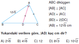 Dik Ucgen_Konu_Testi_VIII_016