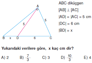 Dik Ucgen_Konu_Testi_VII_009