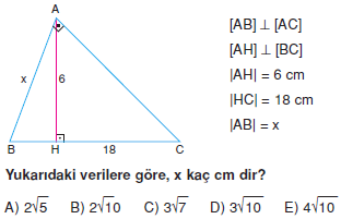 Dik Ucgen_Konu_Testi_VI_008