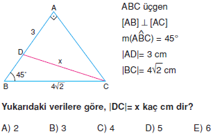 Dik Ucgen_Konu_Testi_VI_013