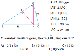 Dik Ucgen_Konu_Testi_V_001