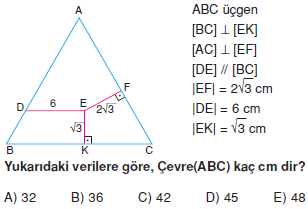 Dik_Ucgen_Konu_Testi_X_004