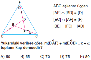 Dik_Ucgen_Konu_Testi_X_010