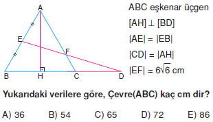 Dik_Ucgen_Konu_Testi_X_011