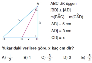 aciortay_kenarortay _konu_testi_1_001