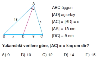 aciortay_kenarortay _konu_testi_1_007