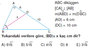 aciortay_kenarortay _konu_testi_1_013