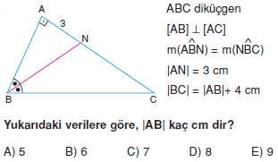 aciortay_kenarortay _konu_testi_1_014