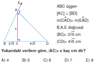 aciortay_kenarortay _konu_testi_1_015