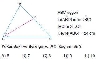 aciortay_kenarortay _konu_testi_2_002