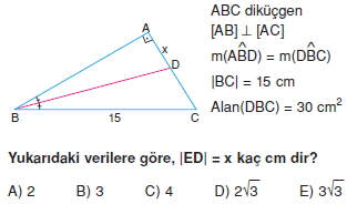 aciortay_kenarortay _konu_testi_2_003