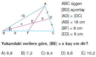 aciortay_kenarortay _konu_testi_2_003