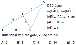 aciortay_kenarortay _konu_testi_2_004