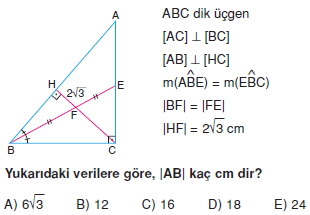 aciortay_kenarortay _konu_testi_2_006