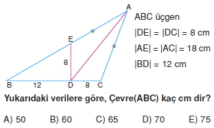 aciortay_kenarortay _konu_testi_2_007