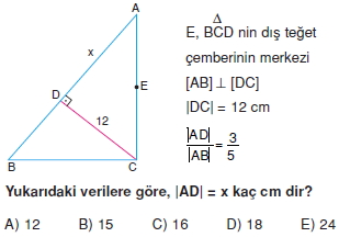 aciortay_kenarortay _konu_testi_2_007