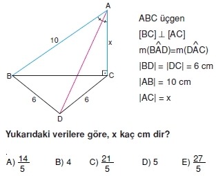 aciortay_kenarortay _konu_testi_2_009