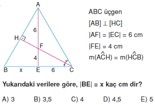 aciortay_kenarortay _konu_testi_2_010