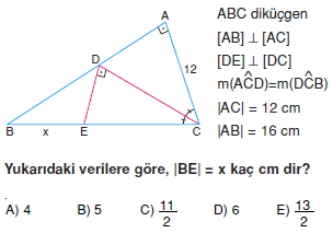 aciortay_kenarortay _konu_testi_2_010