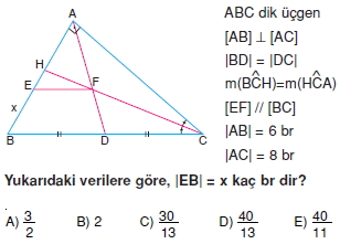 aciortay_kenarortay _konu_testi_2_011