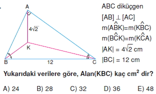 aciortay_kenarortay _konu_testi_2_011