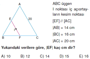 aciortay_kenarortay _konu_testi_2_015