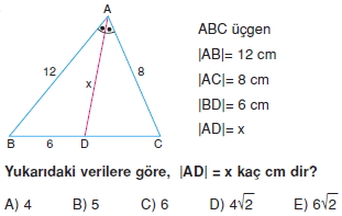 aciortay_kenarortay _konu_testi_2_016