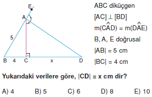 aciortay_kenarortay _konu_testi_2_016