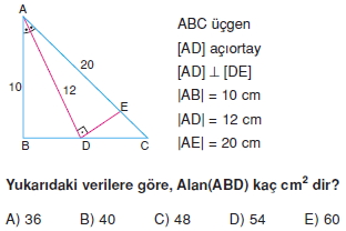 aciortay_kenarortay _konu_testi_4_003