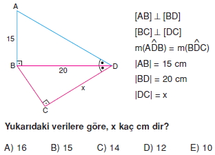 aciortay_kenarortay _konu_testi_4_007