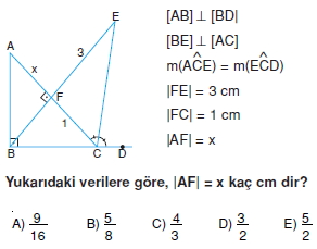 aciortay_kenarortay _konu_testi_4_008