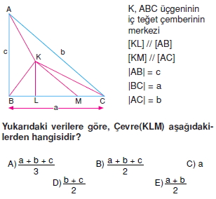 aciortay_kenarortay _konu_testi_4_011