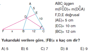 aciortay_kenarortay _konu_testi_4_015