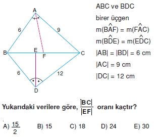 aciortay_kenarortay _konu_testi_5_011