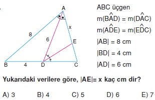 aciortay_kenarortay _konu_testi_5_016