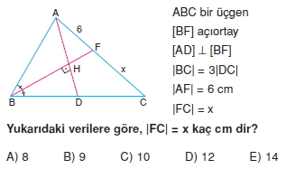 aciortay_kenarortay _konu_testi_6_002