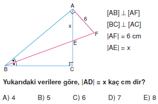 aciortay_kenarortay _konu_testi_6_008