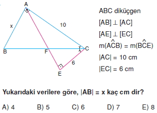 aciortay_kenarortay _konu_testi_6_010